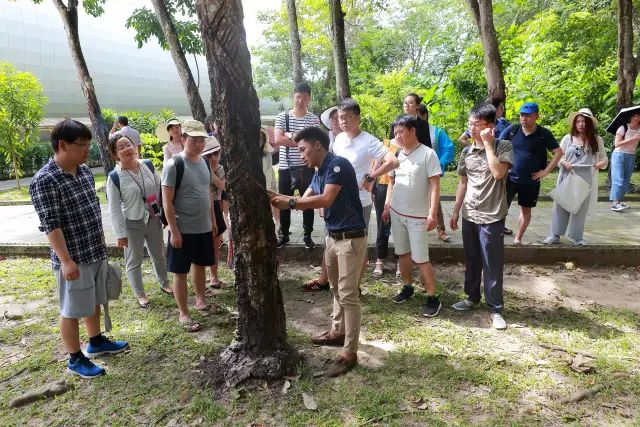 香港宝典免费资料大全